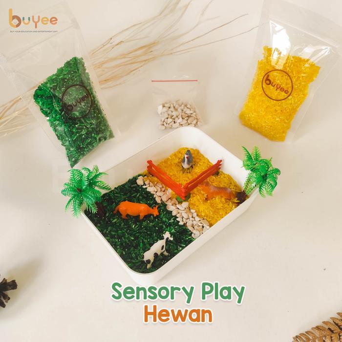 Stok Baru BUYEE GIFT - SENSORY PLAY Sensory Bin hewan Mainan Montessori Beras dan Hewan