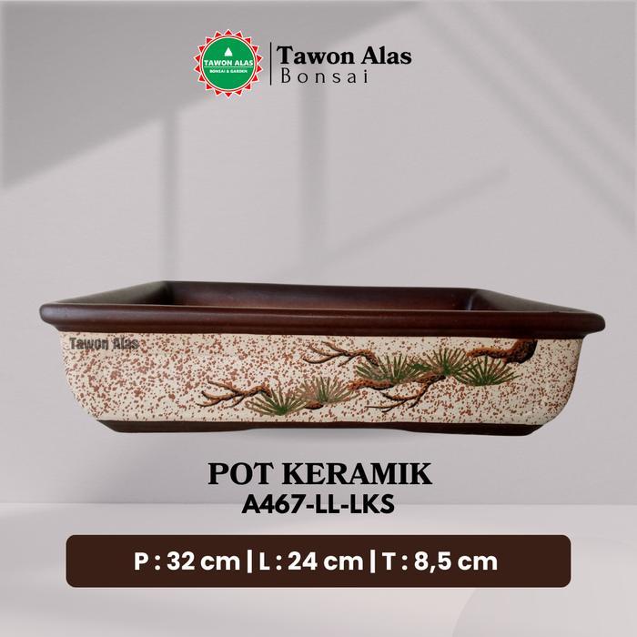 Mrono_Mrene Pot Bonsai Keramik Persegi Panjang Bagus Besar