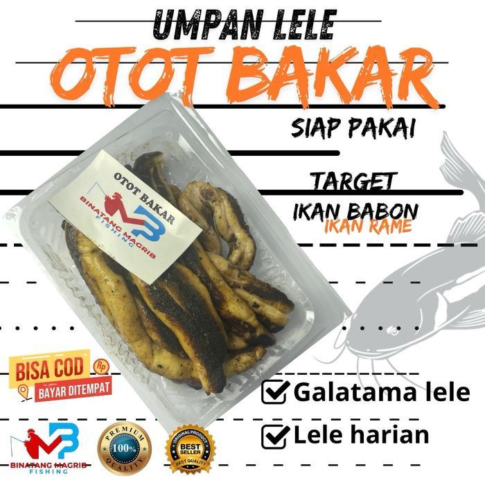 New Umpan lele BMF otot bakar siap pakai Mancing