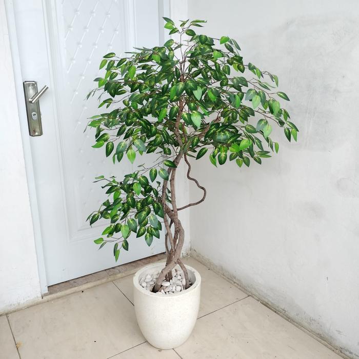 Pohon Beringin Artificial // Pohon Beringin Artificial Sudut Ruangan Tinggi 1,3 m// Pohon Beringin