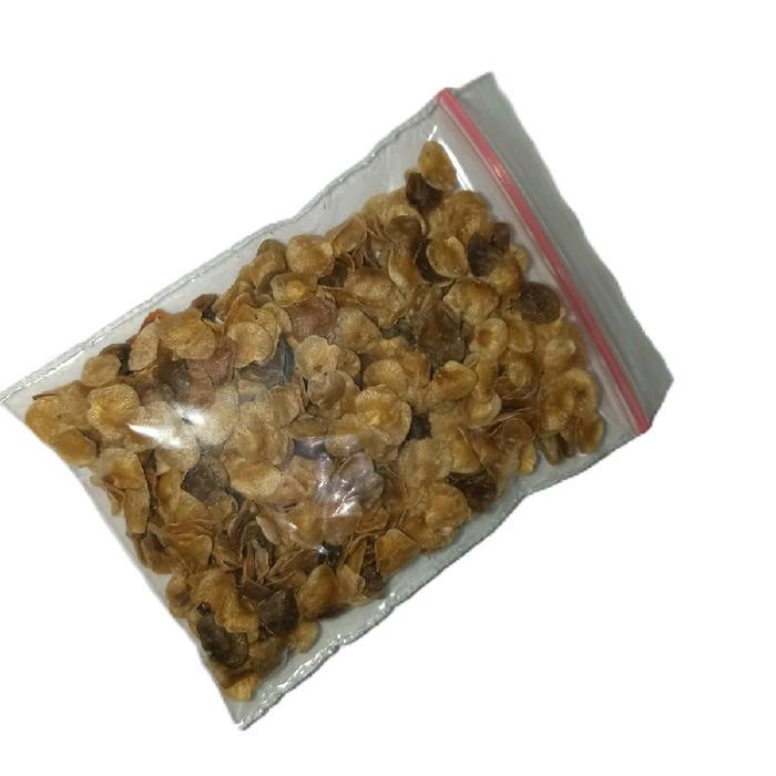 Chantelna_ Bibit Terong Pari - Benih Terong Pari/Terong Hutan 250 Biji