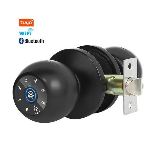 Ball fingerprint lock Graffiti room door lock Office Finance room Electronic Three-rod Wooden door