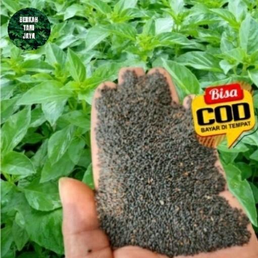 Diskon benih bibit sayur kemangi 1KG