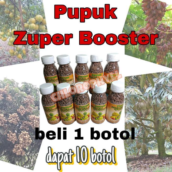 Diskon PUPUK ZUPER BOOSTER PELEBAT BUAH Beli 1 Dapat 10