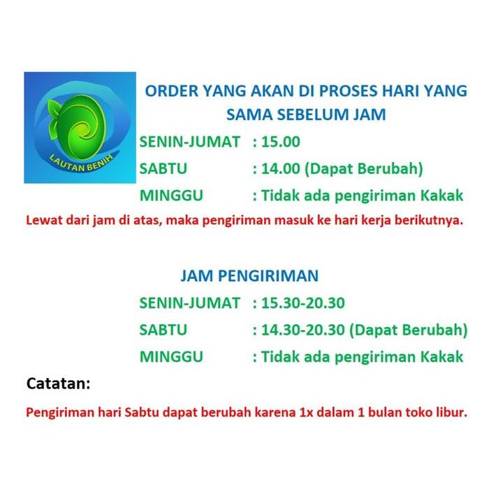 Digazsin_ 2000 Butir Benih Seledri Import Kemasan Pabrik Import