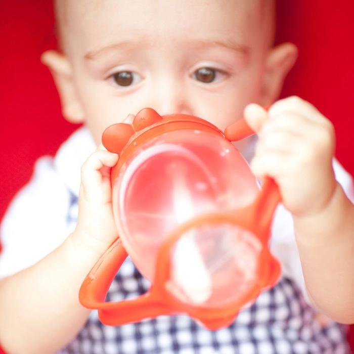 scxq- Lollacup Straw Sippy Cup / Botol Minum Bayi / Lollaland (Innovative Straw Sippy Cup)