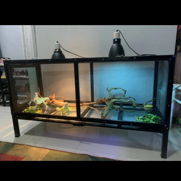 KANDANG IGUANA REPTIL