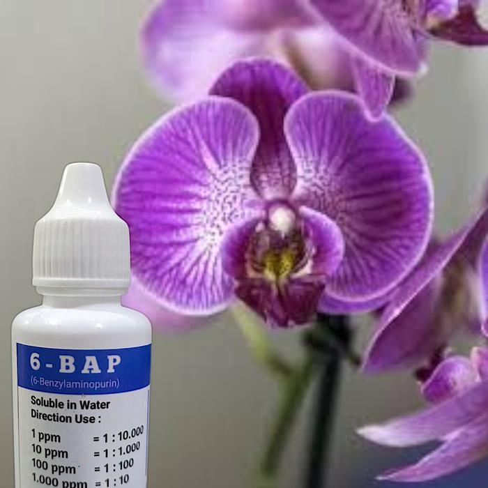 Lubis Gardening Pupuk Hormon Anggrek Bap. 6-Bap Benzyl Amino Purin 10.000 Ppm 30 Ml