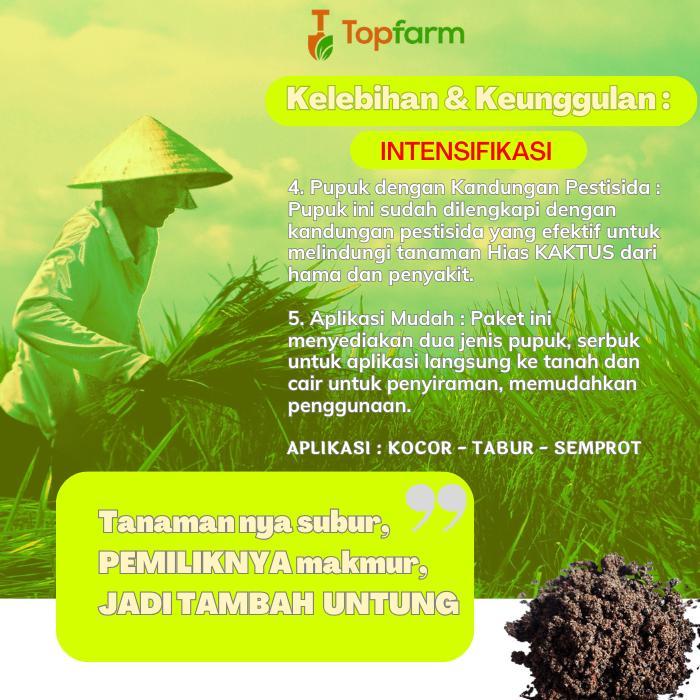 Chantelna_ Pupuk Sukulen Agar Cepat Tumbuh Anakan - Pupuk Khusus Sukulen / Pupuk Tanaman Hias Kaktus