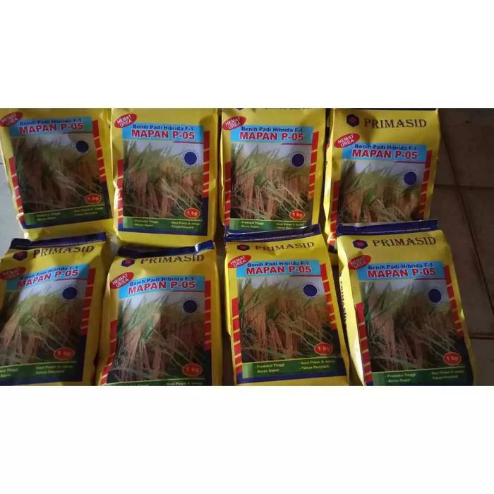 Lubis Gardening Grade C Bibit Padi Asli Ori Hemat Urea Bibit/Benih Padi Hibrida F-1 Mapan P-05 (1Kg)
