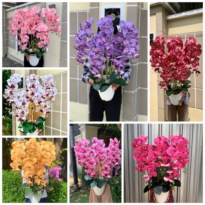 Anggrek Latex Premium Jumbo 5 Cabang Phirus Plastik Bunga Latex Dekorasi Meja Sudut Kualitas Terbaik