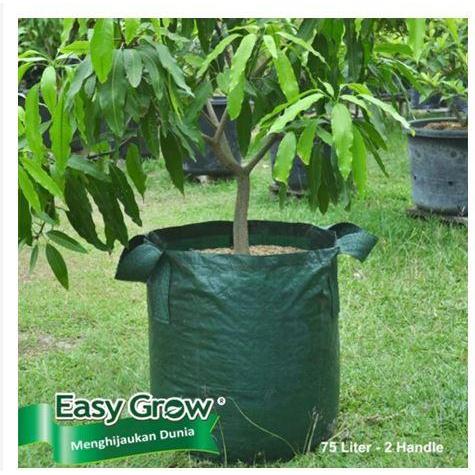 Thejaguar1 Planter Bag - Easy Grow - Planterbag 75 Liter Easy Grow