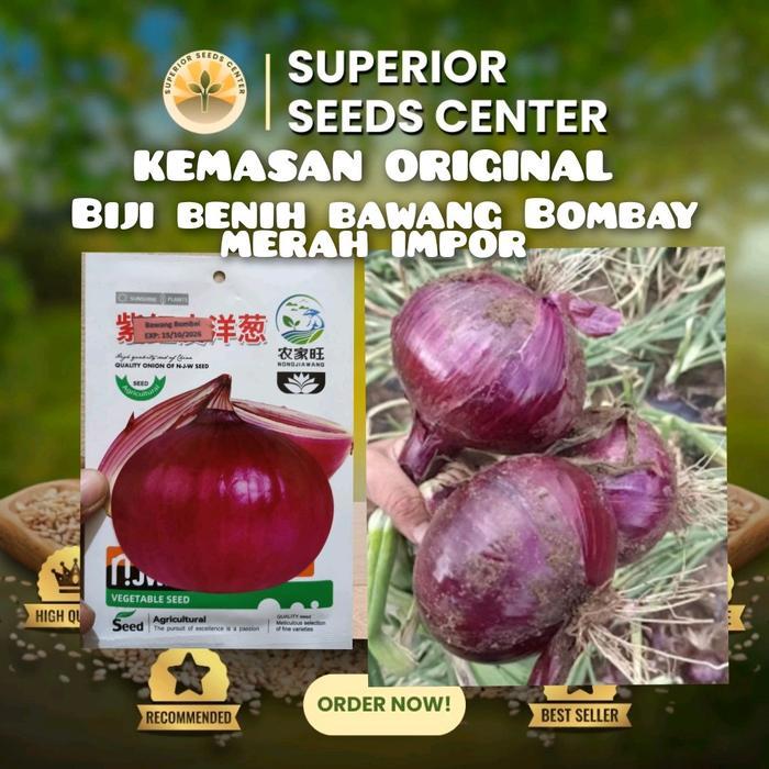Gardening Mikha Kemasan Original Biji Benih Bawang Bombay Merah Jumbo Impor