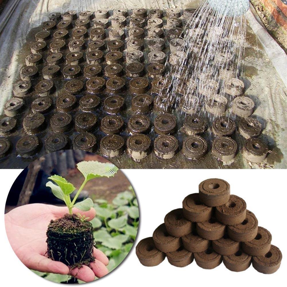 30mm Jiffy Peat Pellets Seed Starting Plugs Pallet Seedling Soil Block Poe Operations To Improve Eff