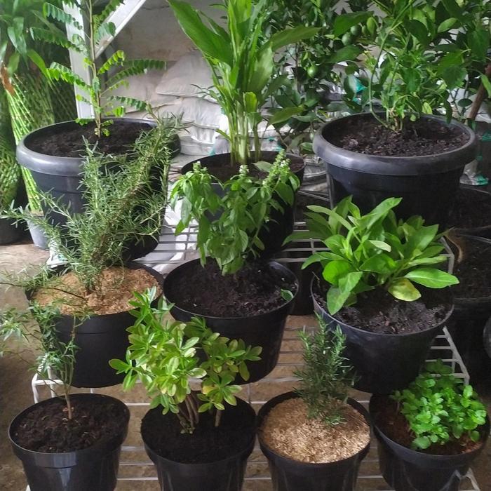 Rak Besi 3 Susun Tanaman Hias