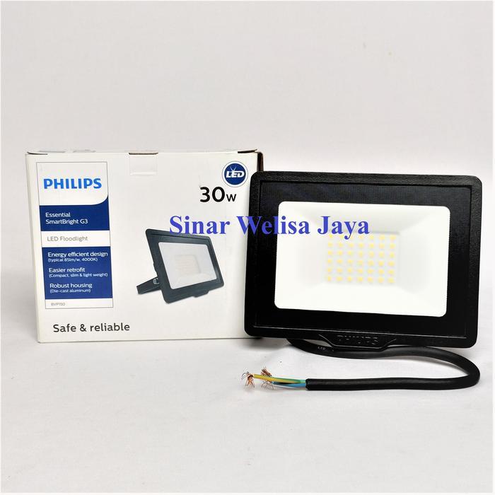 Philips Lampu Sorot Taman LED 30 Watt
