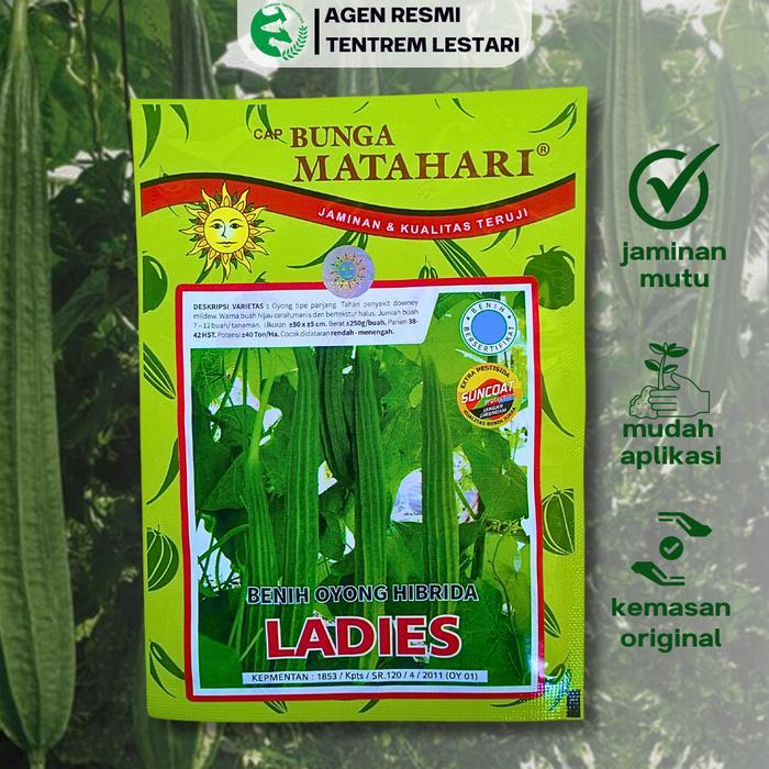 Mrono_Mrene Benih Gambas Oyong Ladies 10 Gram Asli Cap Bunga Matahari Manis & Tekstur Halus