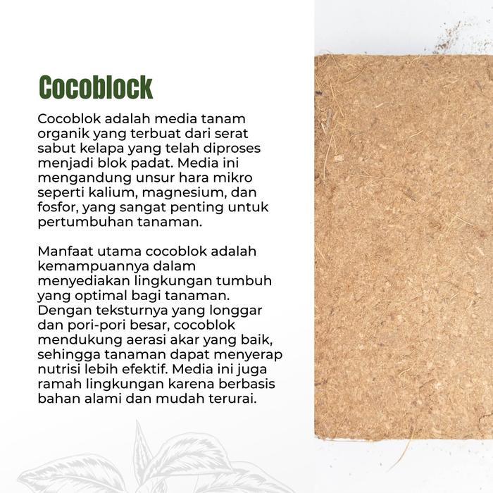 Chantelna_ Media Tanam Cocoblock - Media Tanam Praktis Kaya Unsur Hara