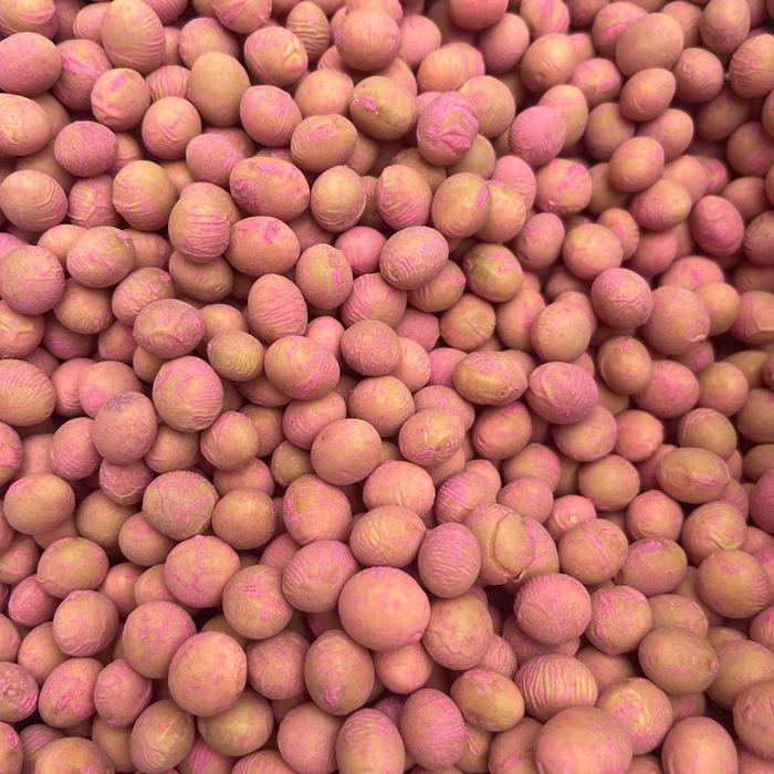 Mrono_Mrene Benih Kacang Kedelai Edamame 1Kg