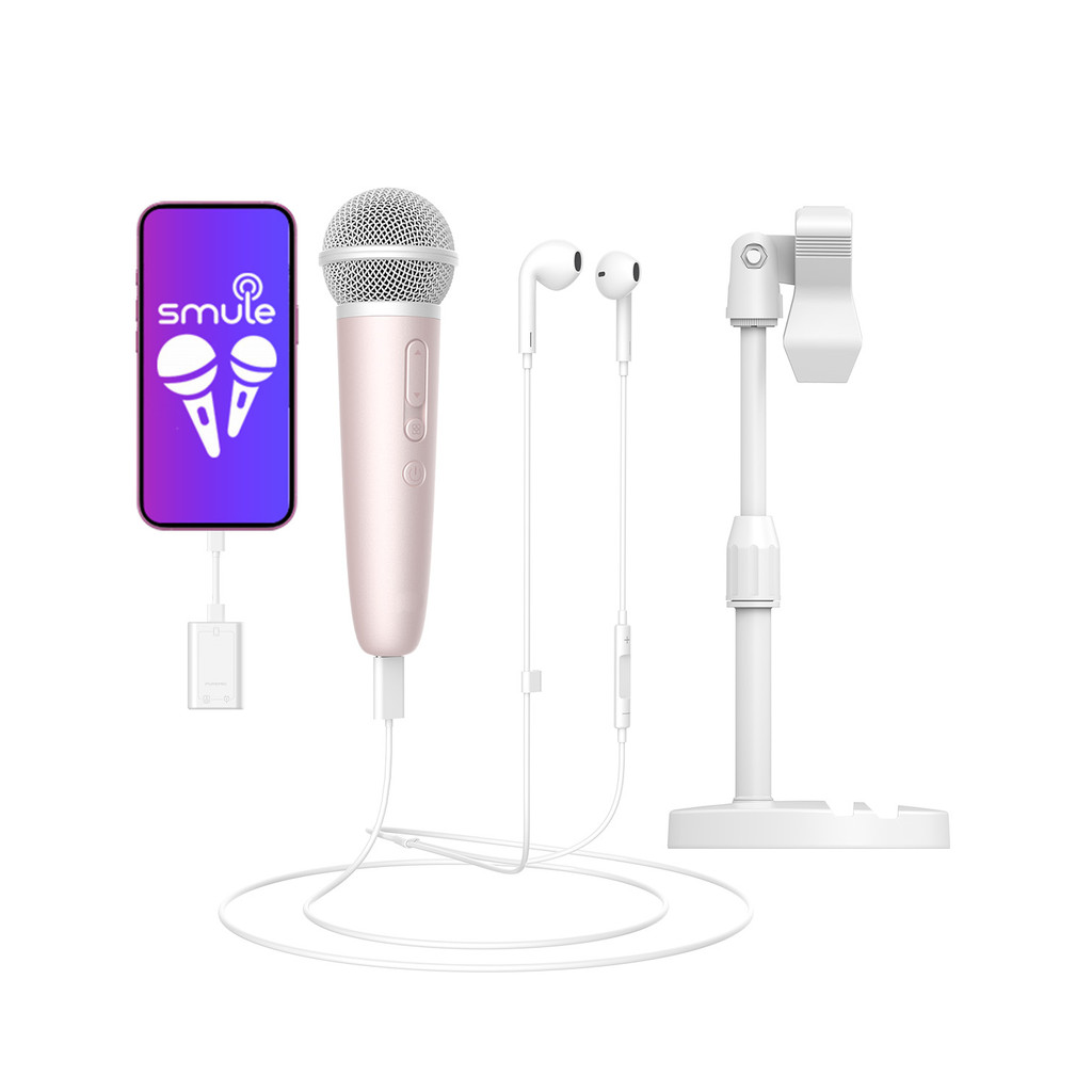 Microphone With Earphone & Mic Stand For Recording And Live Streaming, Wesing, Smule, Starmaker,