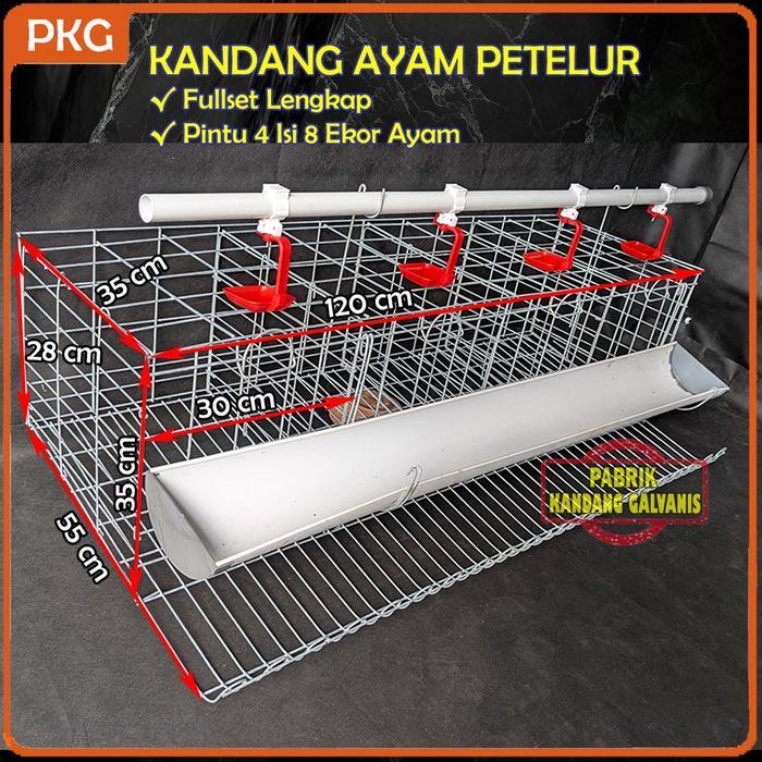 KANDANG AYAM PETELUR GALVANIS FULLSET 4 PINTU ISI 8 EKOR UNTUK RUMAHAN KURUNGAN BESI KOMPLIT MURAH