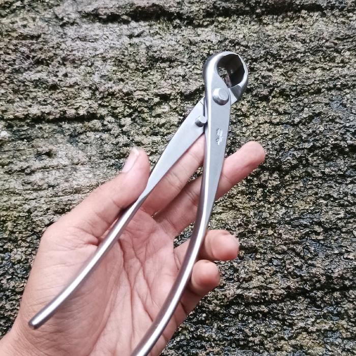 Catok Bonsai Ryuga Rs-08 Cembung