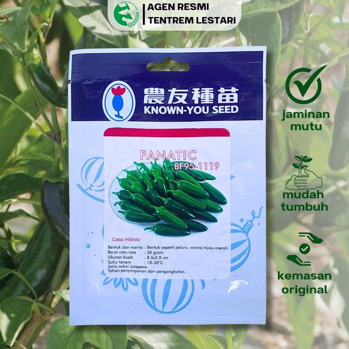 Thejaguar1 Benih Cabe Jalapeno Hibrida Fanatic 5 Gram Known You Seed Tahan Penyimpanan &