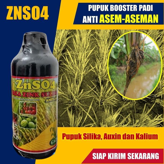 Gardening Mikha Pupuk Booster Tanaman Padi Anti Asam-Asaman Znso4 Isi 500 Ml - Obat Pembesar Bulir