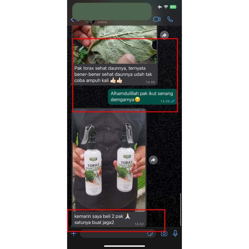 Torax Sehat Daun - Pembasmi Kutu Daun Kutu Putih Hama Daun Original