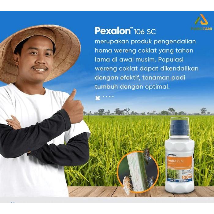 Puro Insektisida Pexalon 106SC 100 ml bahan aktif triflumezopyrim Dupont PROMO SPECIALZJ548