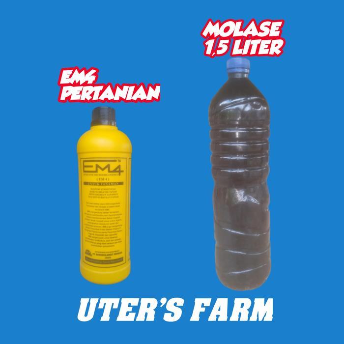 em 4 pertanian dan molase