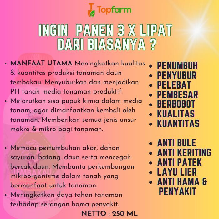 Chantelna_ Pupuk Tanaman Mbako / Pupuk Daun Hijau Mbako / Pupuk Penyubur & Pelebat Daun Mbako Dengan