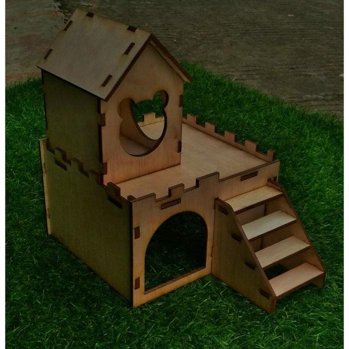 hamster syrian rumah hamster syrian