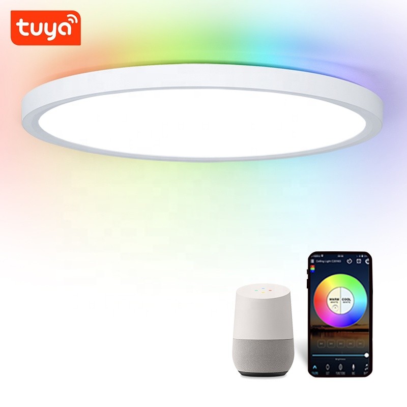 Tuya Smart Ceiling Lights APP Voice Control RGB Dimmable LED Lamps