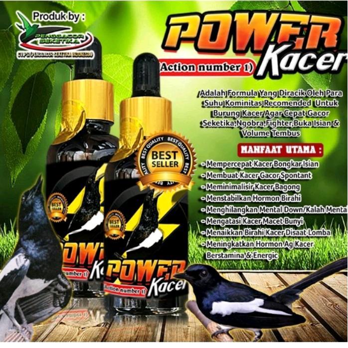 Power Kacer juara lomba suplemen penggacor burung Seketika