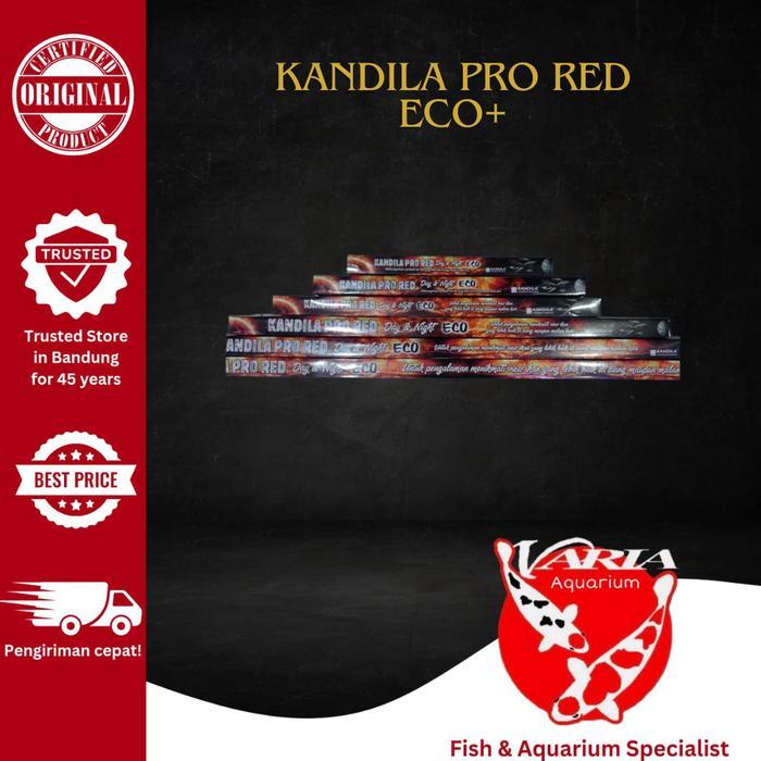 Lampu Kandila Pro Red Day And Night Eco Plus