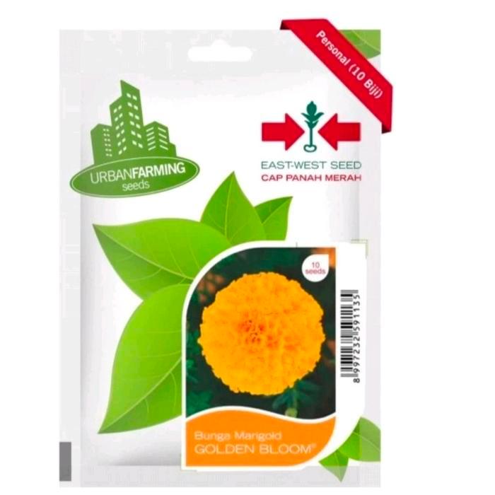 best produk] Benih Marigold Golden Bloom F1 PT East West Cap Panah Merah 10 Seeds