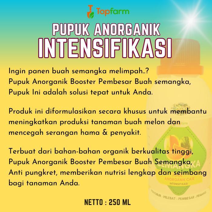 Lubis Gardening Pupuk Semangka Cair / Booster Semangka / Pupuk Penyubur Tanaman Semangka / Pupuk