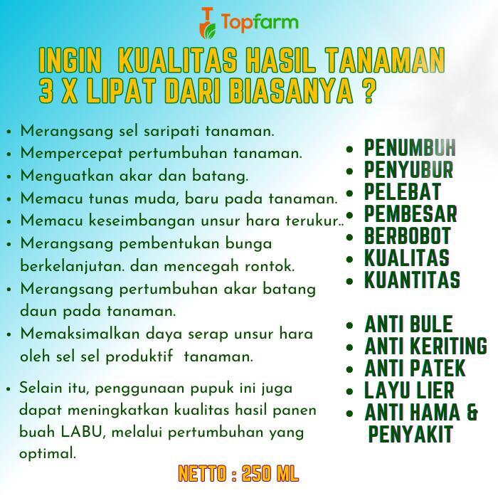 Mantabetul Pupuk Labu / Booster Labu / Pupuk Pembesar Labu Madu / Pupuk Pelebat Buah Labu / Pupuk