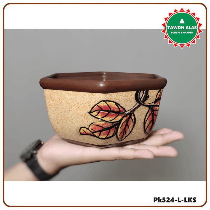 Thejaguar1 Pot Keramik Bonsai Sukulen Kaktus Segi Enam Small Kecil Bukan Plastik