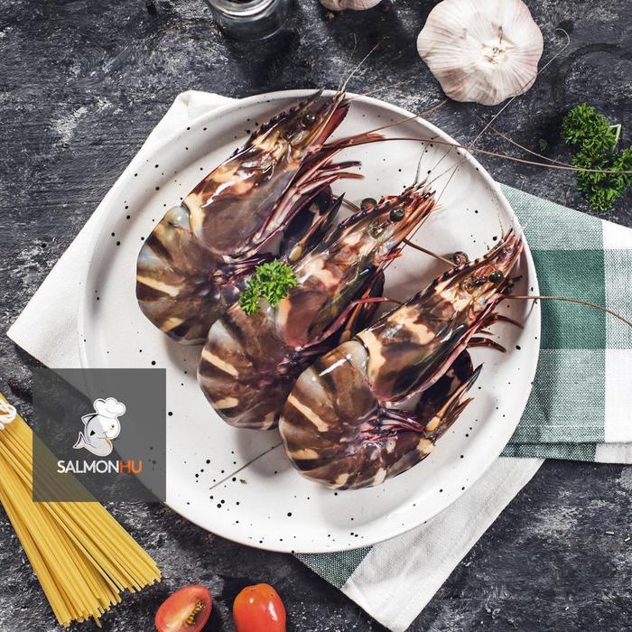 Udang Tiger Laut SEGAR size 6-10 ekor/kg PREMIUM