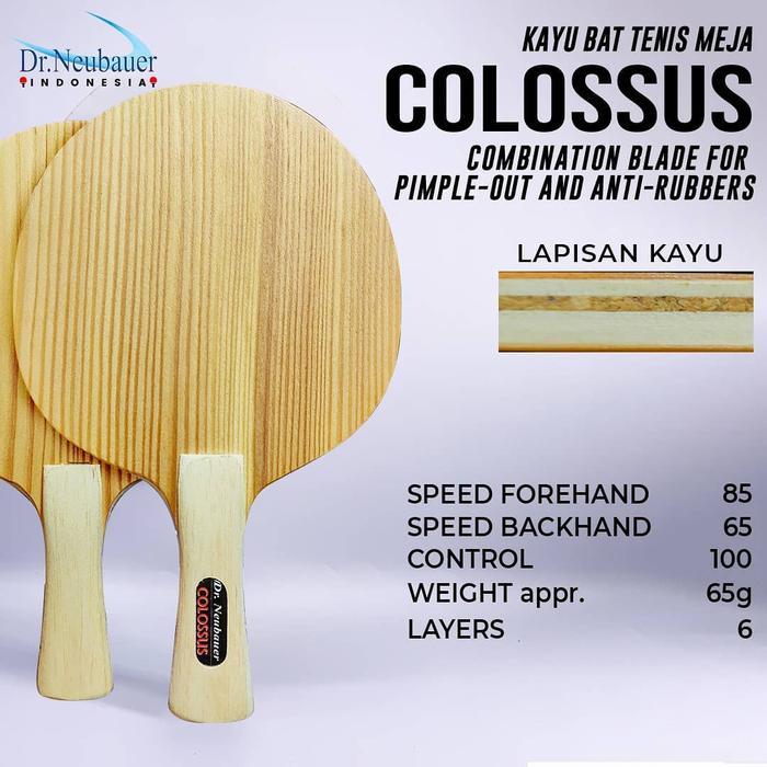 KAYU TENIS MEJA DR NEUBAUER COLOSSUS ORIGINAL