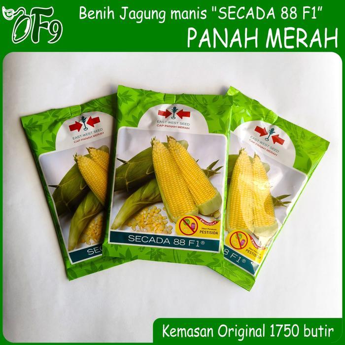 Digazsin_ Benih Bibit Jagung Manis Secada 88 F1 1750 Butir Panah Merah