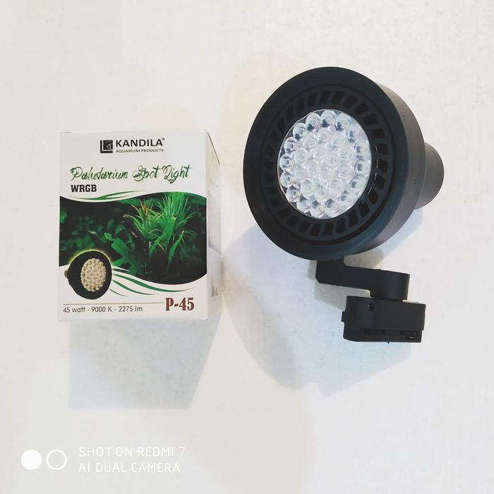Lampu Paludarium Spot Light P45 45W Kandila