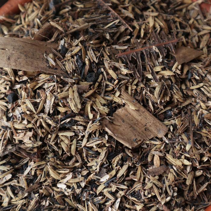 Digazsin_ Media Tanam Aglonema Fermentasi Media Tanam Premium 2,5Kg By Planteria.Id Tanah Tanaman