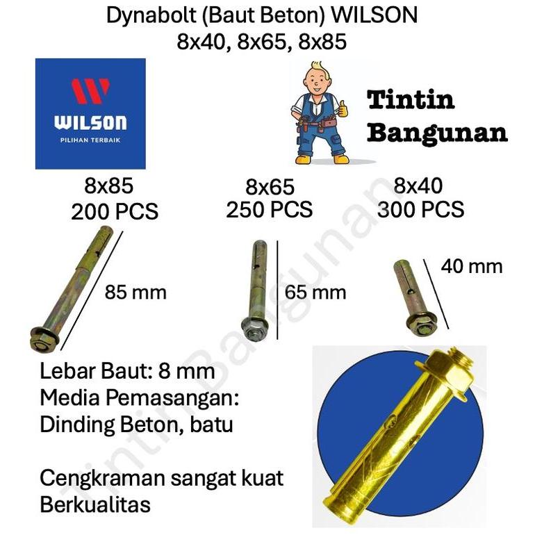 Dynabolt (Baut Beton) WILSON isi kotak/ dynabolt/ dinabolt/ dinabol/ dynabol/ 8x40 (300 PCS), 8x65