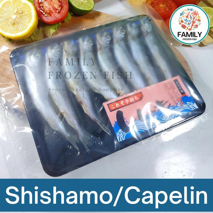 08pg- Ikan Shisamo Full Telur Import Shisamo/Capelin Premium Quality