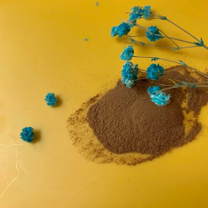 Dream Herb Calea Zacatechichi / Calea Ternifolia Extract 25Gr