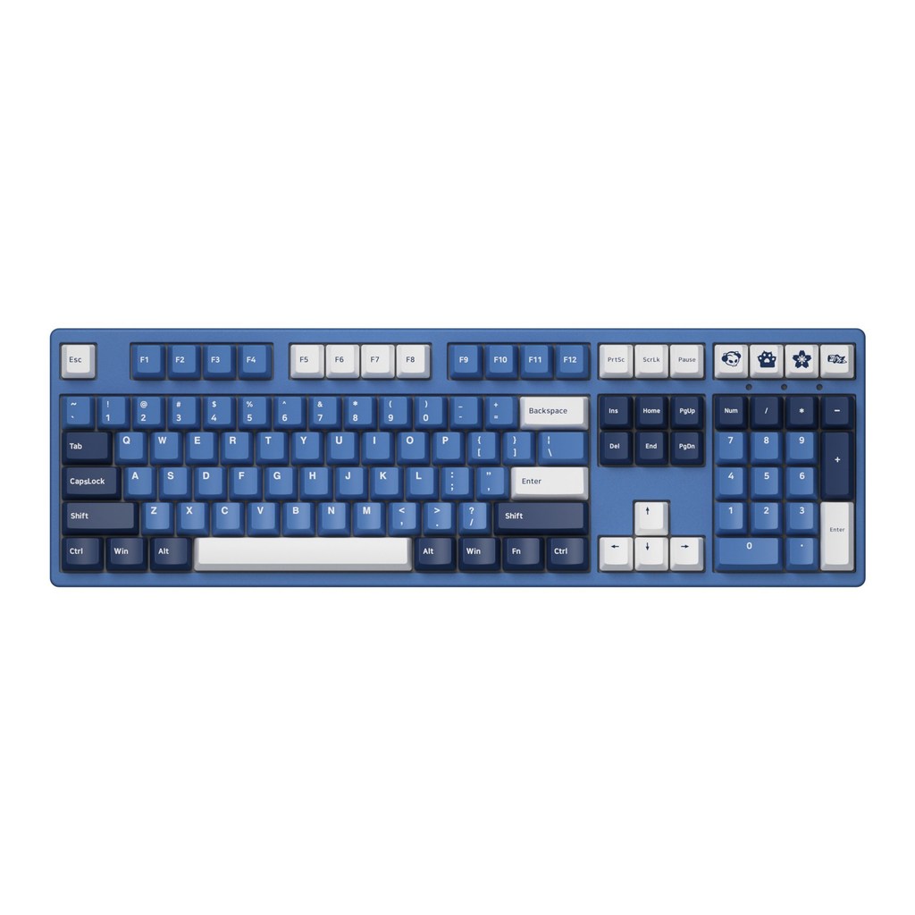Akko 3108 DS Ocean Star Full-Size Mechanical Gaming Keyboard Wired 108-key with Cherry Profile PBT D
