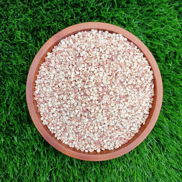 0slt- Sorgum Ketan Merah Enak Dan Pulen Fresh Langsung Dari Petani 500Gr